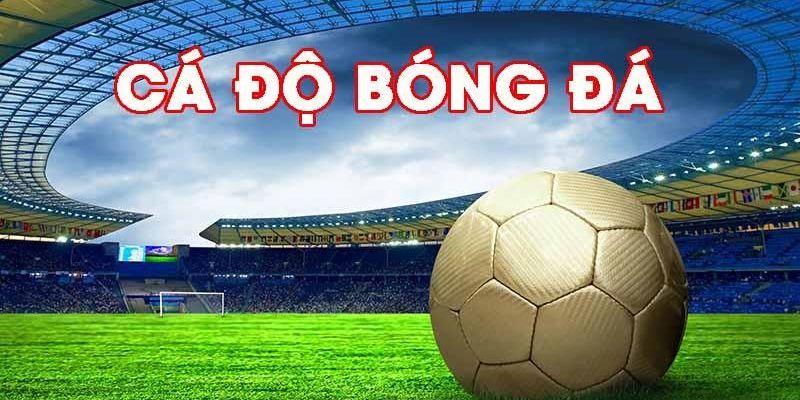 Trang cá cược bóng đá 7m